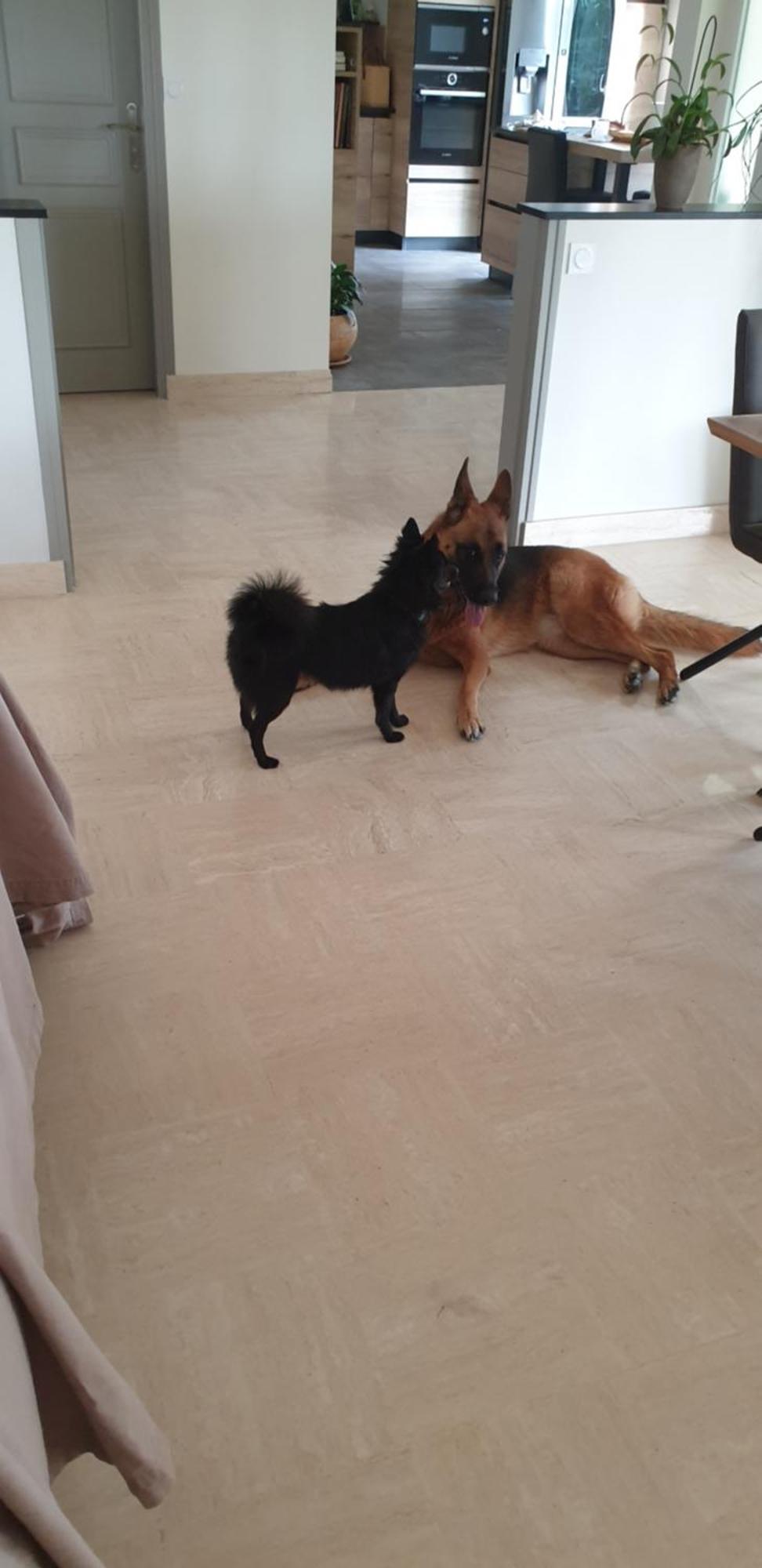 Appartement 50 M2, Calme, Marche A Pied, Proche Mer Guidel Bagian luar foto